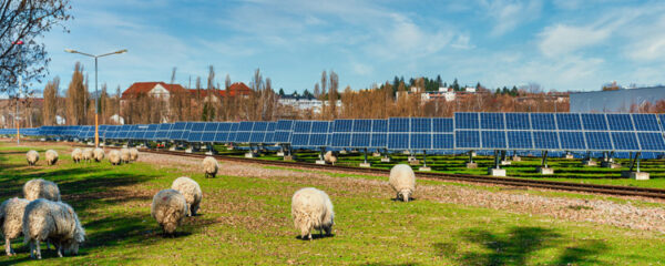 ferme photovoltaïque