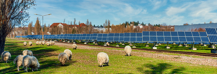 ferme photovoltaïque